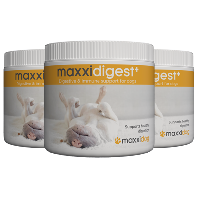 maxxidigest+ digestive and immune support for dogs combines probiotics prebiotics and canine maxxidigest+ digestive and immune support for dogs combines probiotics prebiotics and canine digestive enzymes