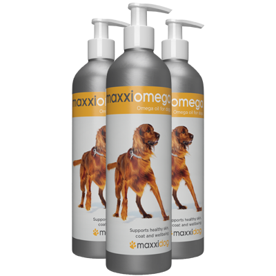 maxxiomega oil for dogs for healthy skin and shiny coat maxxiomega oil for dogs for healthy skin and shiny coat