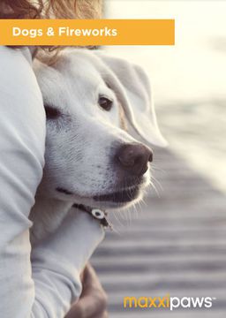 Free Dogs & Firework Checklist from maxxipaws