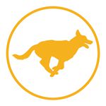 maxxipaws running dog icon maxxipaws running dog icon