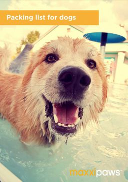 Packing List for Dogs from maxxipaws
