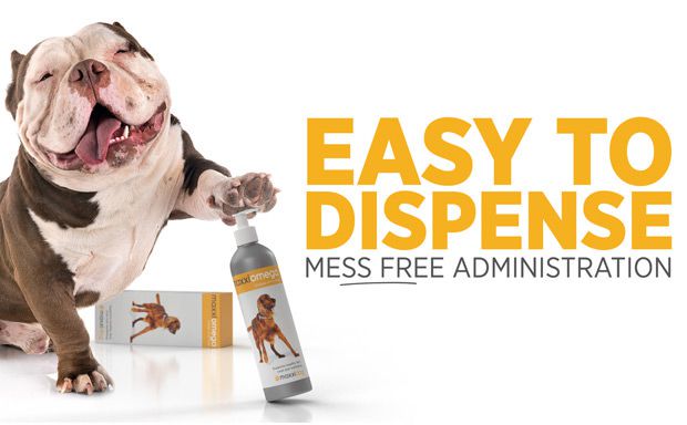 maxxiomega omega oil for dogs with easy to use pump maxxiomega omega oil for dogs with easy to use pump