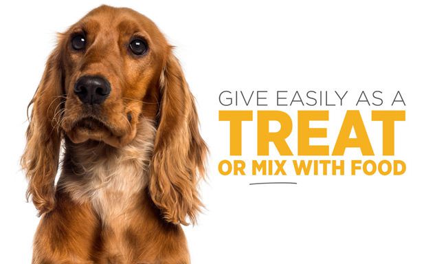 maxxicalm highly palatable calming tablets for dogs maxxicalm highly palatable calming tablets for dogs