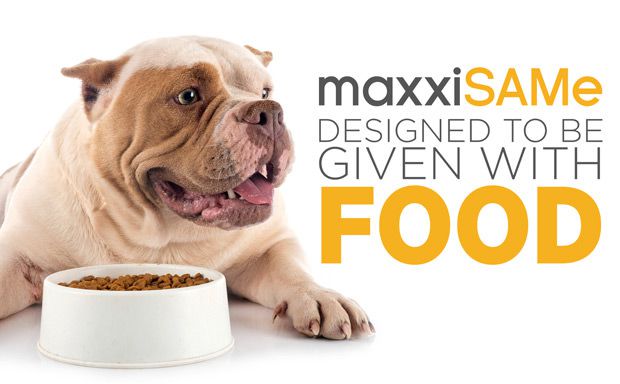 maxxiSAMe SAM-e for dogs given with food maxxiSAMe SAM-e for dogs given with food