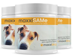 maxxiSAMe advanced SAM-e formula for dogs maxxiSAMe advanced SAM-e formula for dogs
