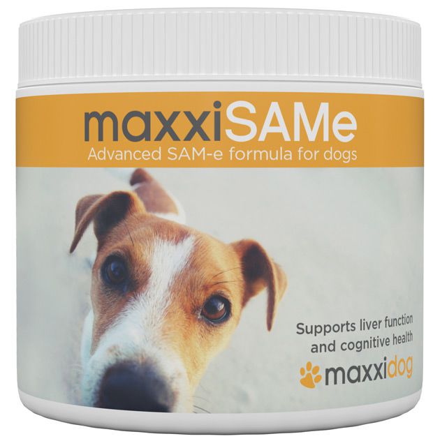 The benefits of maxxiSAMe SAM-e supplement for dogs The benefits of maxxiSAMe SAM-e supplement for dogs