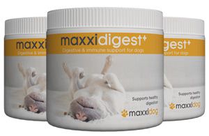 Bottles of maxxidigest+ digestive and immune support for dogs Bottles of maxxidigest+ digestive and immune support for dogs