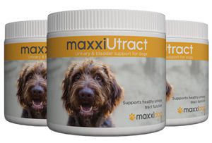 Bottles of maxxiUtract urinary and bladder support for dogs from maxxipaws Bottles of maxxiUtract urinary and bladder support for dogs from maxxipaws
