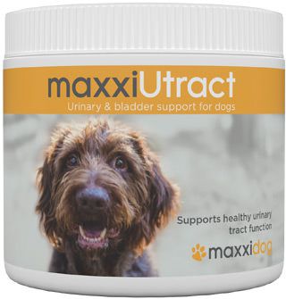 Benefits of maxxiUtract urinary and bladder support for dogs Benefits of maxxiUtract urinary and bladder support for dogs