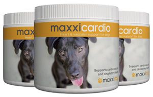 maxxicardio hearth and vascular support for dogs maxxicardio hearth and vascular support for dogs