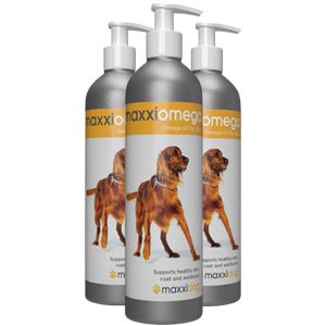 maxxiomega omega oil for dogs for healthy skin and shiny dog coat maxxiomega omega oil for dogs for healthy skin and shiny dog coat