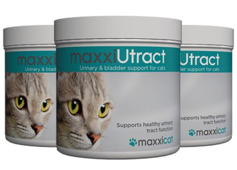 Bottles of maxxiUtract urinary and bladder support for cats from maxxipaws Bottles of maxxiUtract urinary and bladder support for cats from maxxipaws