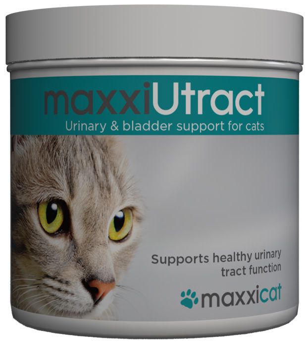 The benefits of maxxiUtract urinary and bladder support for cats The benefits of maxxiUtract urinary and bladder support for cats