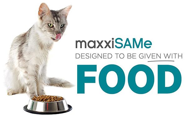 maxxiSAMe SAM-e for cats given with food maxxiSAMe SAM-e for cats given with food