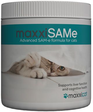 The benefits of maxxiSAMe SAM-e supplement for cats The benefits of maxxiSAMe SAM-e supplement for cats