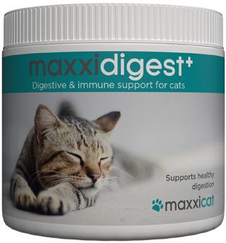 Benefits of maxxidigest+ digestive and immune support for cats Benefits of maxxidigest+ digestive and immune support for cats