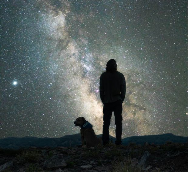 Dog owner and his dog stargazing on a dog walk Dog owner and his dog stargazing on a dog walk