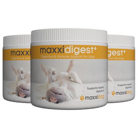 maxxidigest+ digestive and immune support for dogs from maxxipaws maxxidigest+ digestive and immune support for dogs from maxxipaws