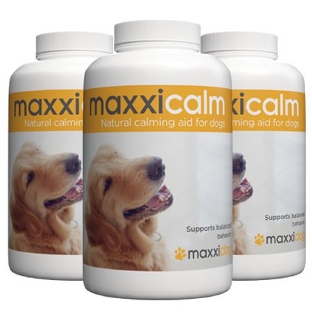 maxxicalm calming tablets for dogs from maxxipaws maxxicalm calming tablets for dogs from maxxipaws