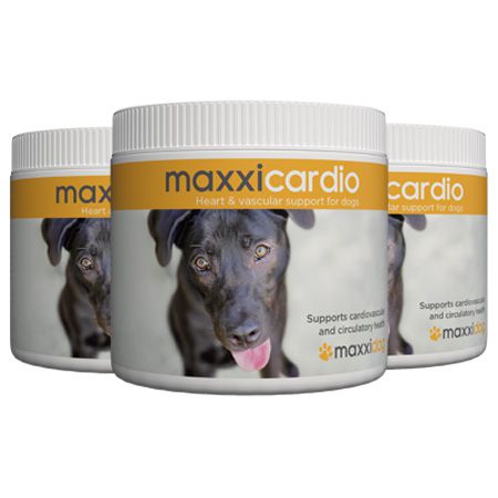 maxxicardio cardiovascular and heart support for dogs from maxxipaws maxxicardio cardiovascular and heart support for dogs from maxxipaws