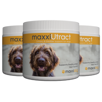 maxxiUtract urinary and bladder support for dogs from maxxipaws maxxiUtract urinary and bladder support for dogs from maxxipaws