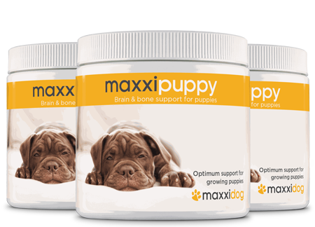 maxxipuppy brain and bone support for puppies from maxxipaws maxxipuppy brain and bone support for puppies from maxxipaws
