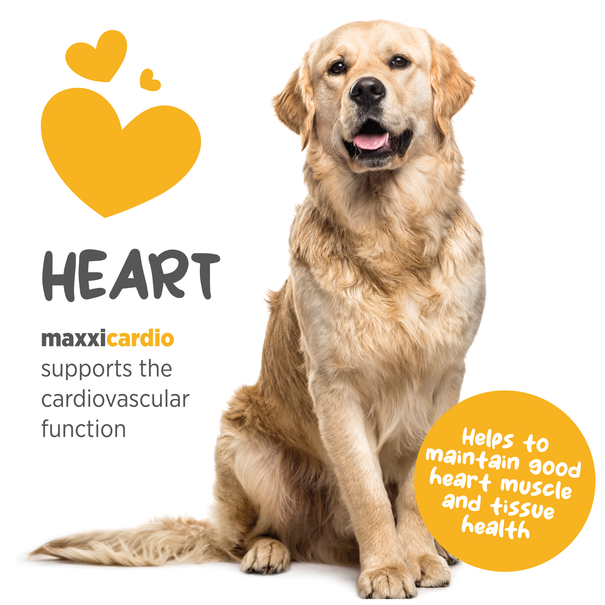 Odoo - Sample 2 for three columns