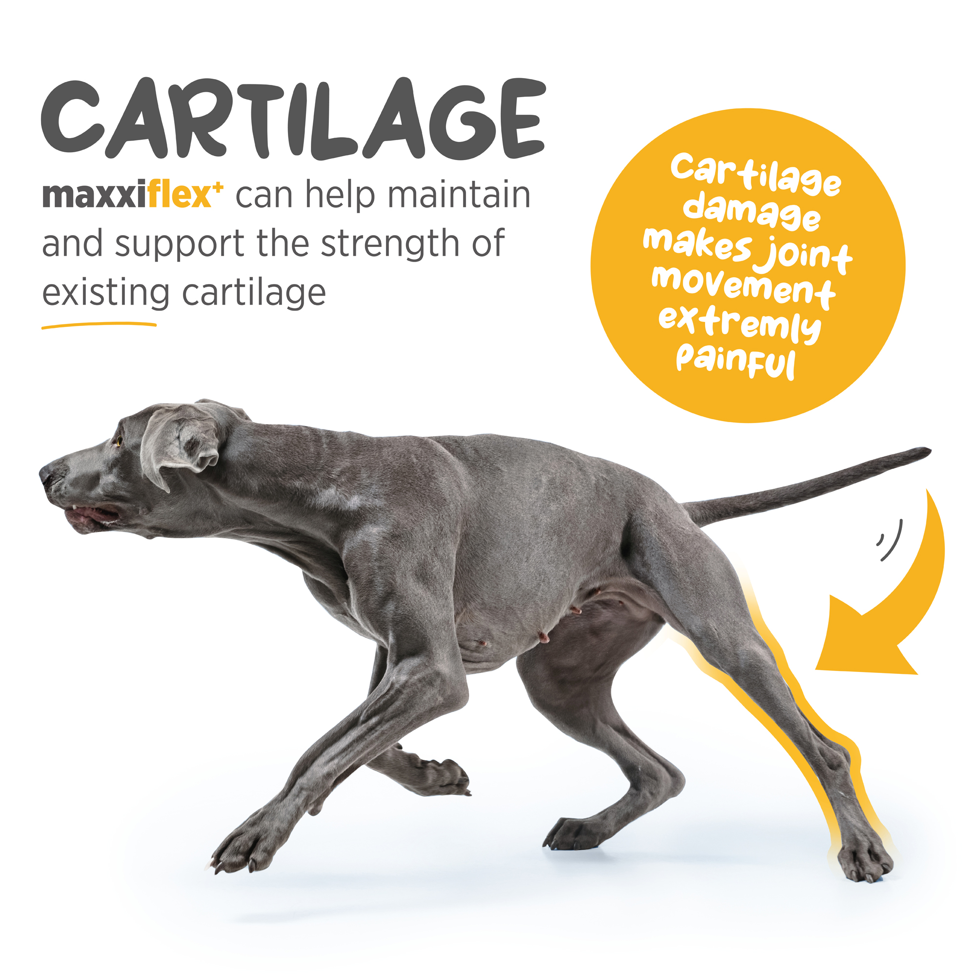 Odoo - Sample 3 for three columns