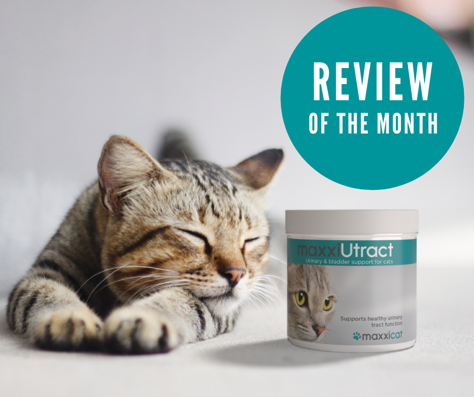 Odoo • Image and Text