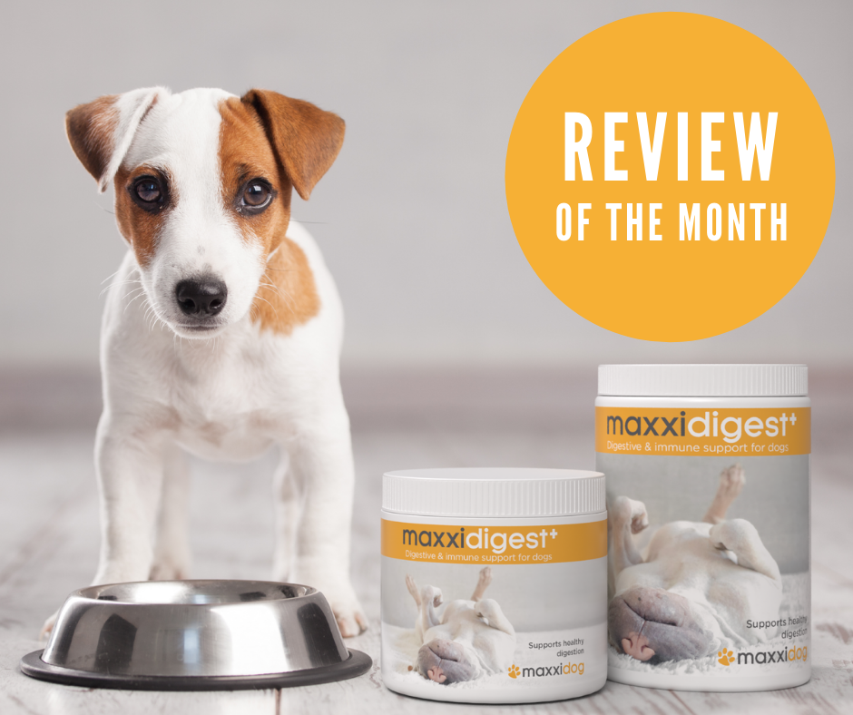 Odoo • Image and Text