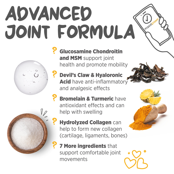 maxxiflex+ advance hip and joint supplement for dogs