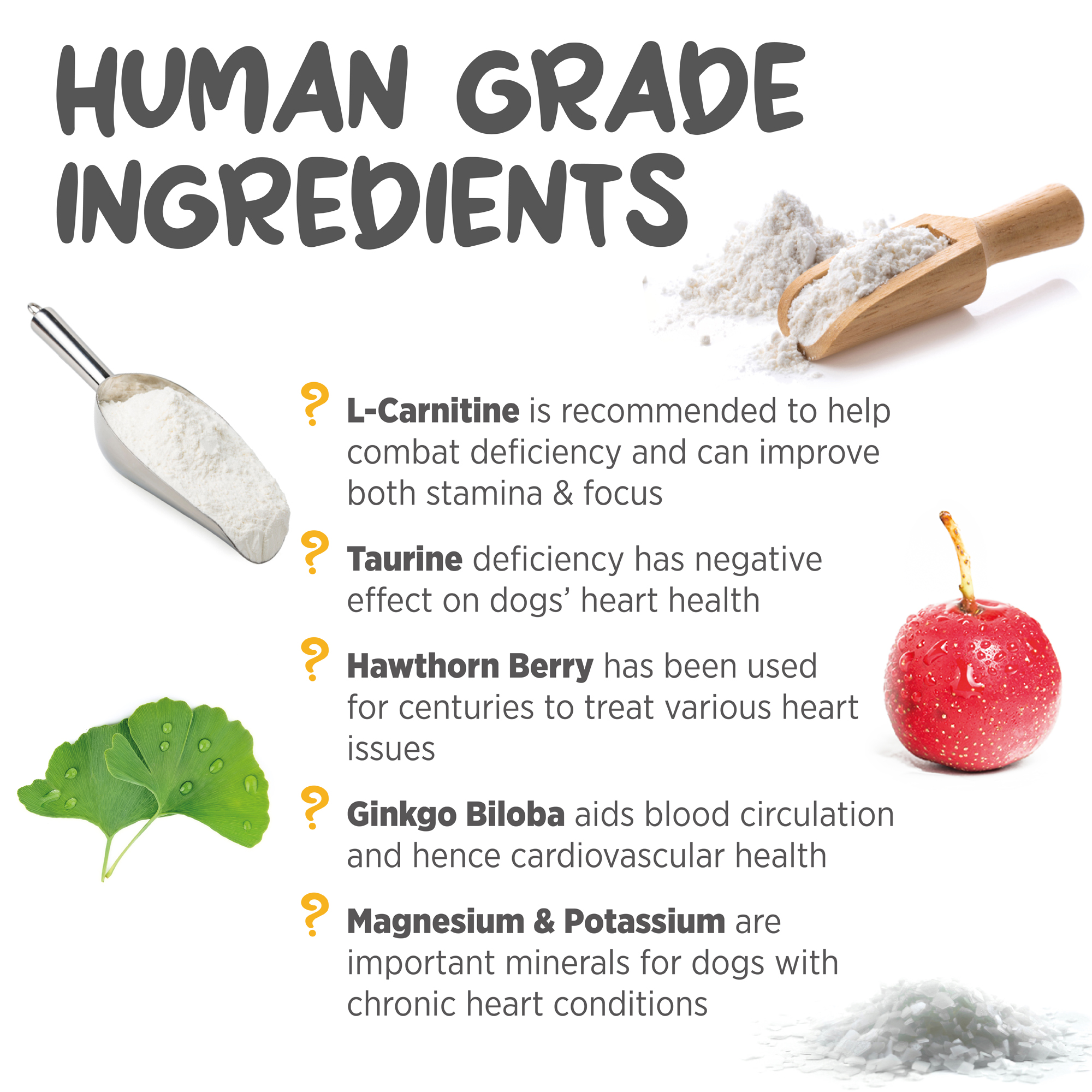 maxxicardio best ingredients for dog heart health