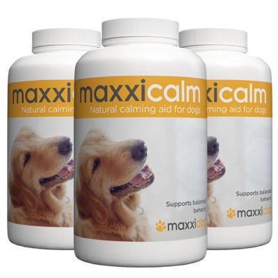  maxxicalm calming aid for dogs