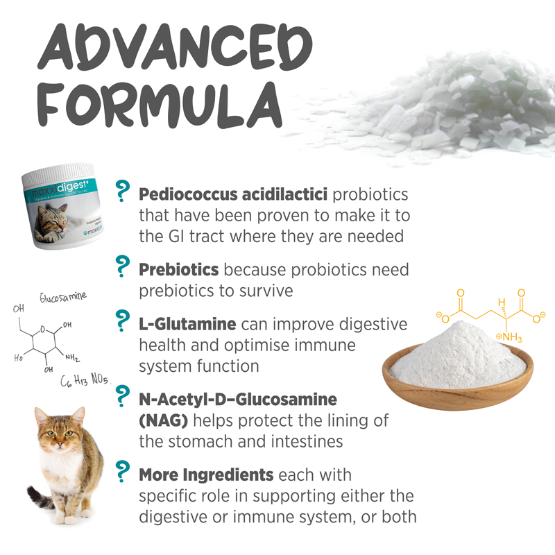 maxxidigest feline digestive and immune supplement