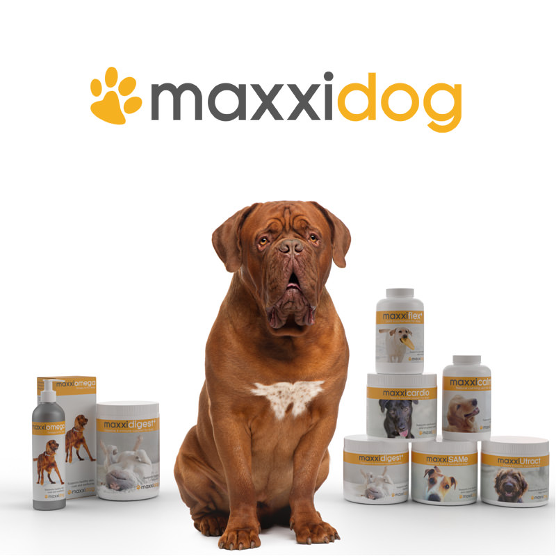maxxidigest+ bottle