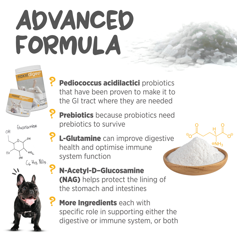 maxxidigest best ingredients for dog stomach and digestion