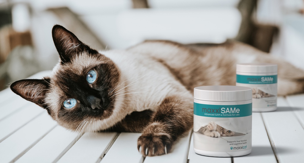 maxxiSAMe cats BANNER